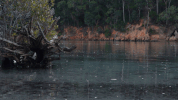 water GIF