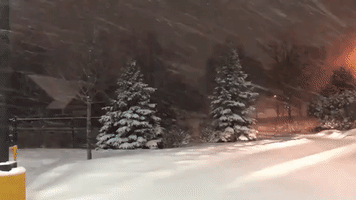Heavy Snow Blankets Chicago Region