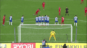 1 Fc Cologne Football GIF by 1. FC Köln