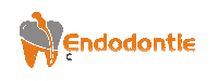 Endodontie teeth dentist endodontie dr bogdan moldoveanu Sticker