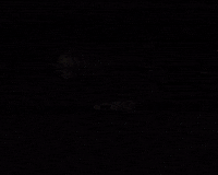 Majorka GIF by PROFFASAD