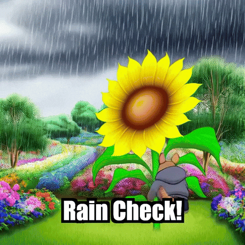 Summer Rain Garden GIF by Chillo Dillo