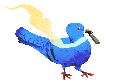 BrooklynMagazine giphyupload brooklyn vape pigeon Sticker