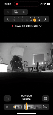 michagruszka giphyupload GIF