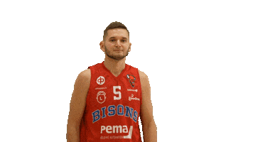 Look Up Basketball Player Sticker by Bisons