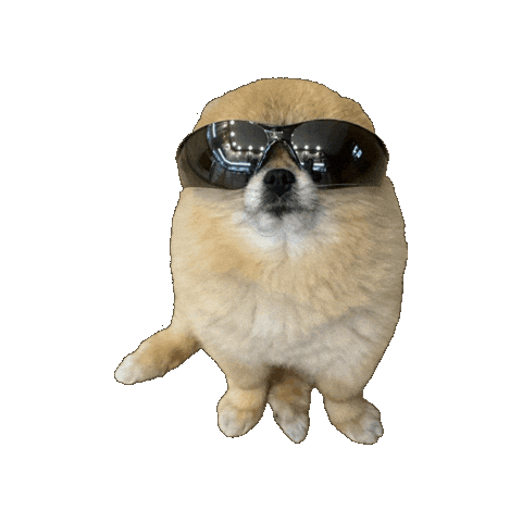 Dog Baby Sticker