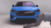Fordsocial GIF by Ford