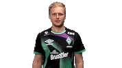 Fifa Easports Sticker by SV Werder Bremen