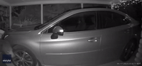 Security Camera Catches Momma Bear's Attempt to Get Into Car in North Carolina