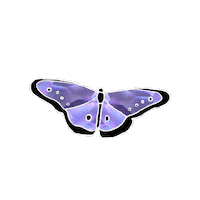 Sticker Butterfly Sticker by littlekingdoms