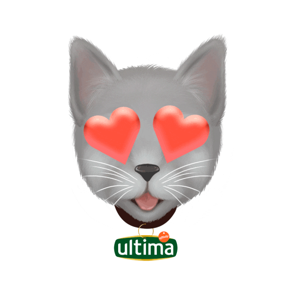 UltimaES giphyupload in love love you gato Sticker