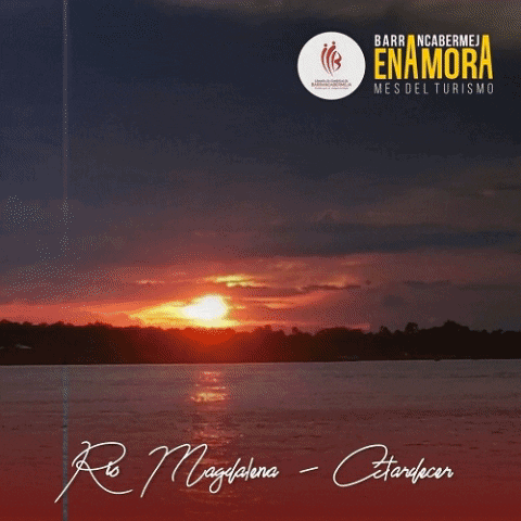 jdirbcabja giphygifmaker GIF