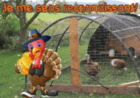 Spanish Thanksgiving GIF