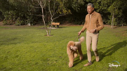 Jeff Goldblum Dogs GIF by National Geographic Channel