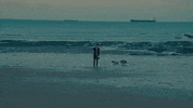 Beach Land GIF by BANNERS