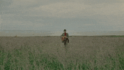 Beach Land GIF by BANNERS