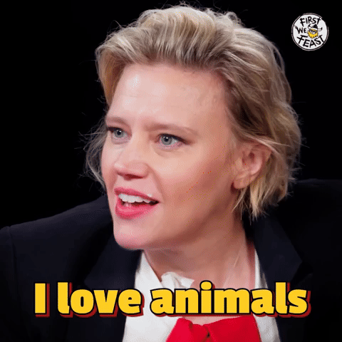 I Love Animals