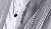 into the mind skiing GIF