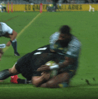 GIF by Wallabies Official