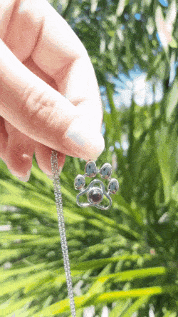 GrabYoursTODAY giphyupload GIF