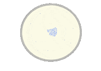 Oreilly_designs science stem biology bacteria Sticker