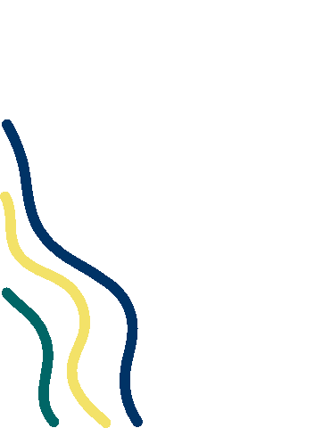 uncw_admissions giphyupload blue gold seahawks Sticker