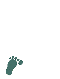 Pieds Sticker by Petits pas de Géant-PPDG