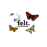 flower butterfly Sticker by CP