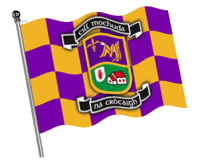 Gaa Thetoughest Sticker by AIB
