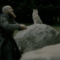 vikings GIF