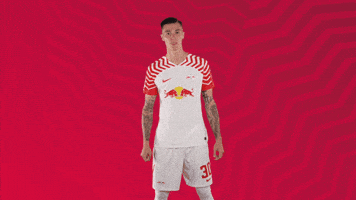 Oh Yeah Yes GIF by RB Leipzig