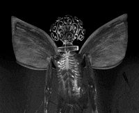 euxinova GIF by Colin Raff