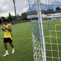 I Cant Hear You Borussia Dortmund GIF