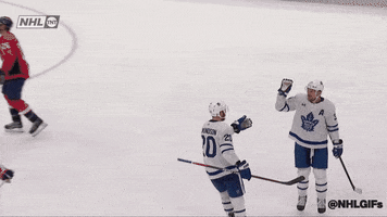 Happy Ice Hockey GIF by NHL
