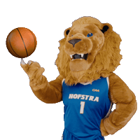 New York Basketball Sticker by Hofstra University
