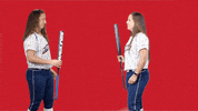 usssapride pride usssa npf usssa pride GIF