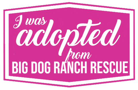 Adopted Dog Sticker by Big Dog Ranch Rescue