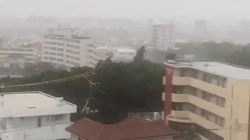 Typhoon Maysak Brings Powerful Winds and Heavy Rain to Japan's Okinawa