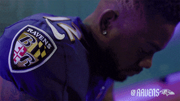 Football Celebrate GIF by Baltimore Ravens