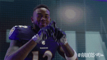 Football Celebrate GIF by Baltimore Ravens