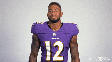 Football Nfl GIF by Baltimore Ravens