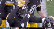 Pittsburgh Steelers Football GIF by NFL