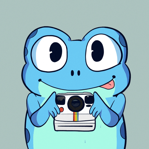 Taking A Picture Instagram GIF by Croakey