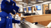 victor ubuffalo GIF