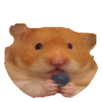hamster STICKER by imoji