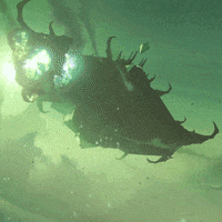 Shadowlands Wow GIF by World of Warcraft