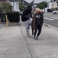 Blind Man Prank GIF by Respective