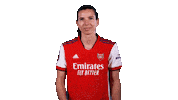 Tobin Heath Football Sticker by Arsenal