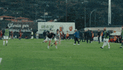 Happy Serie B GIF by Ascoli Calcio 1898