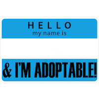 My Name Is Hello Sticker by TracysPawsRescue
